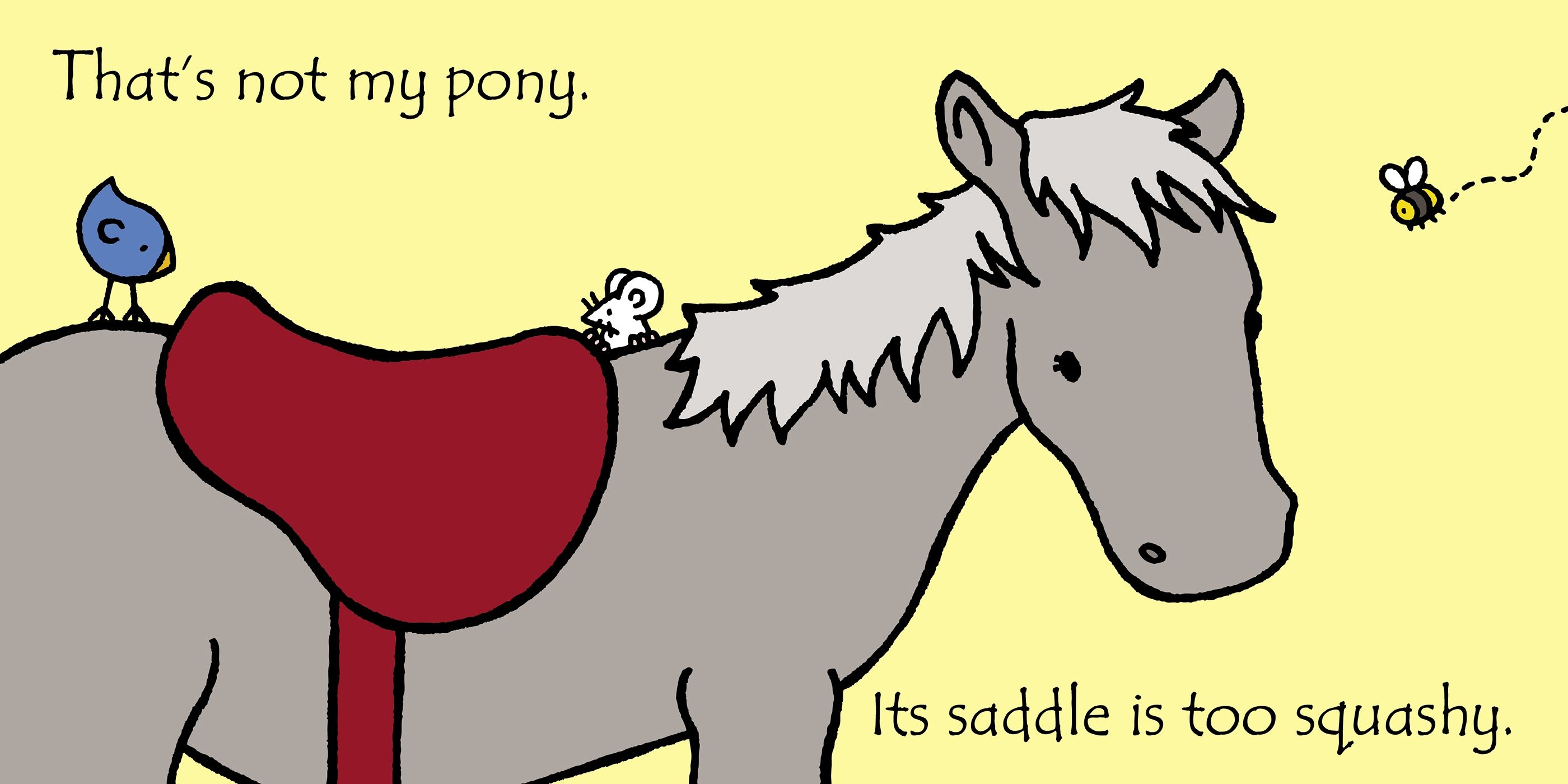 THATS NOT MY PONY IRELAND