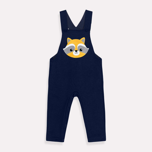 baby boys  dungarees