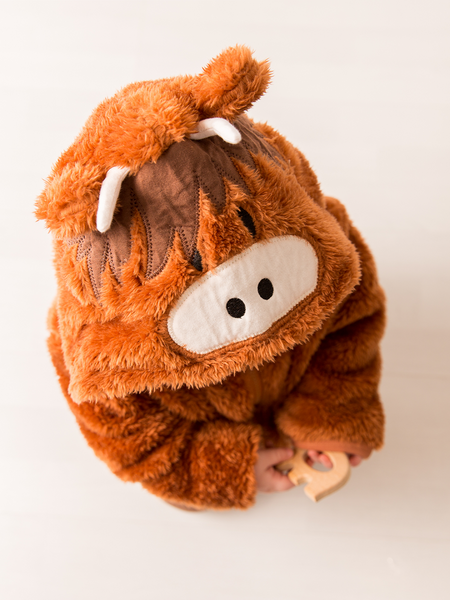 Blade & Rose Hoodie-Neutral Highland Cow