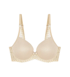 triumph tshirts bra ireland