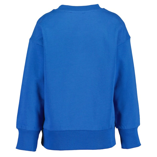 Blue Seven Boys' Long Sleeve Embossed Dinos SweatShirt 864770-5580 Royal