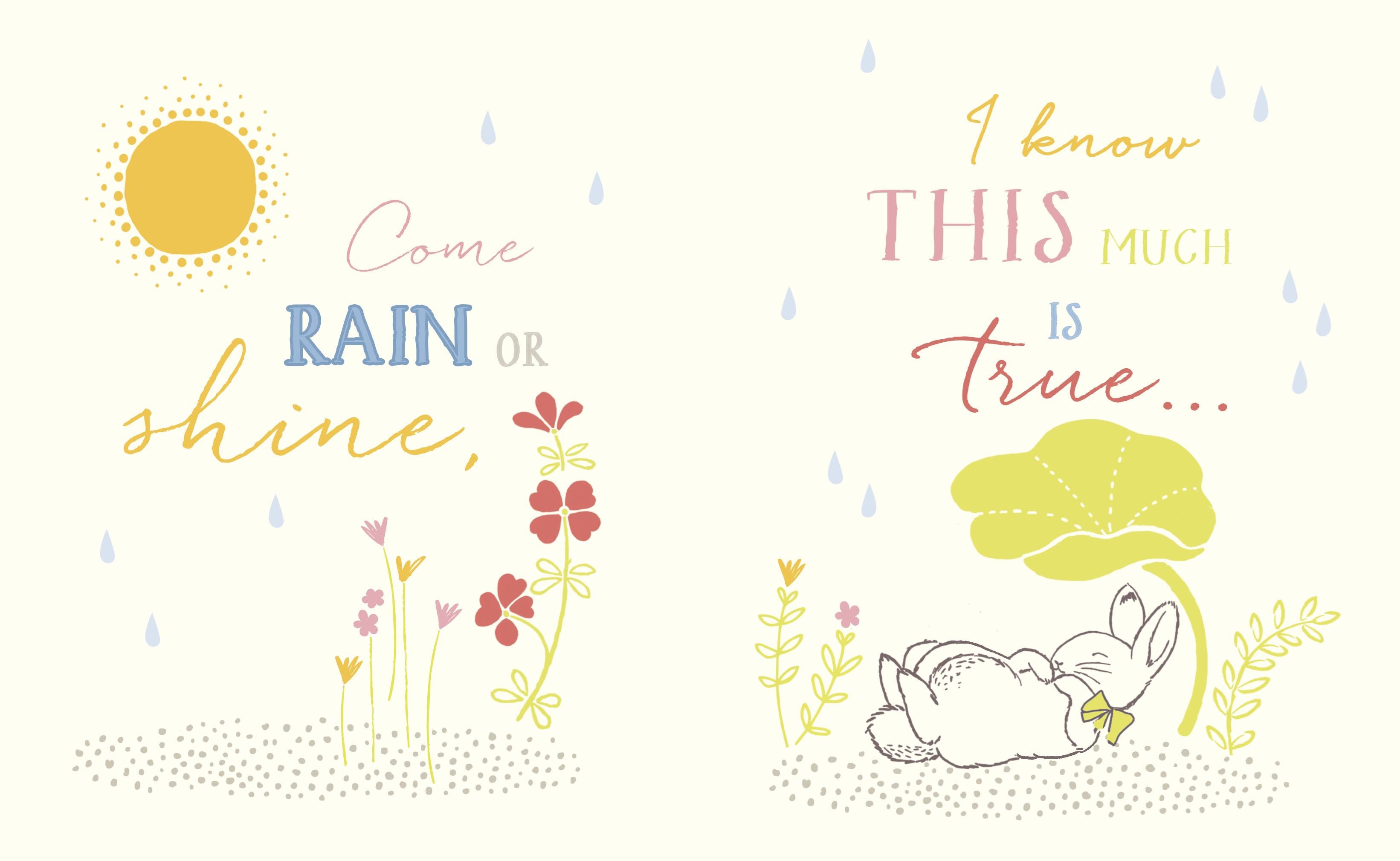 peter rabbit books  ireland