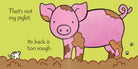 THATS NOT MY  PIGLETS BOOKS  IRELAND