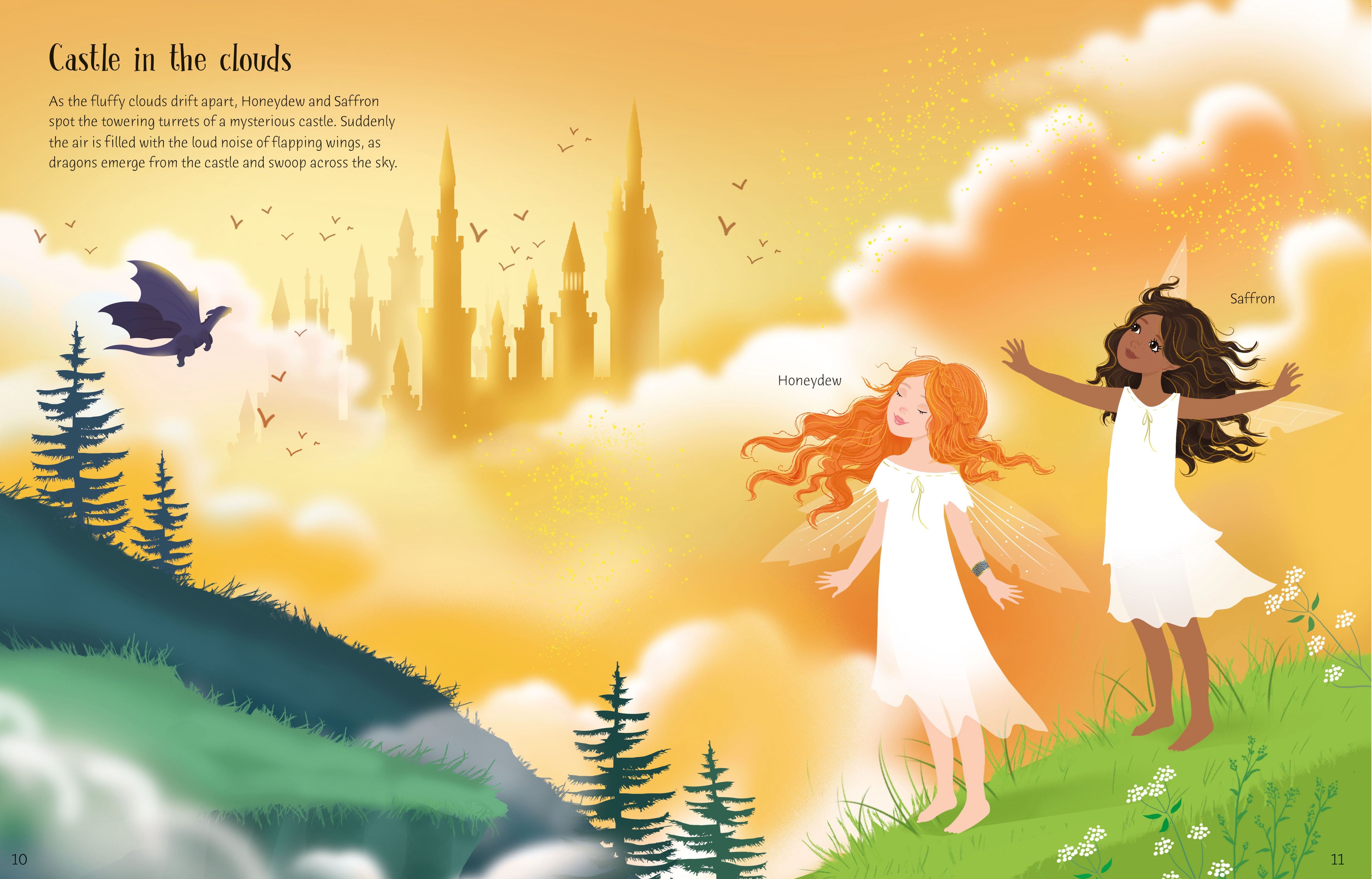 sticker books  cavan