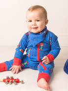 paddington  gifts ireland