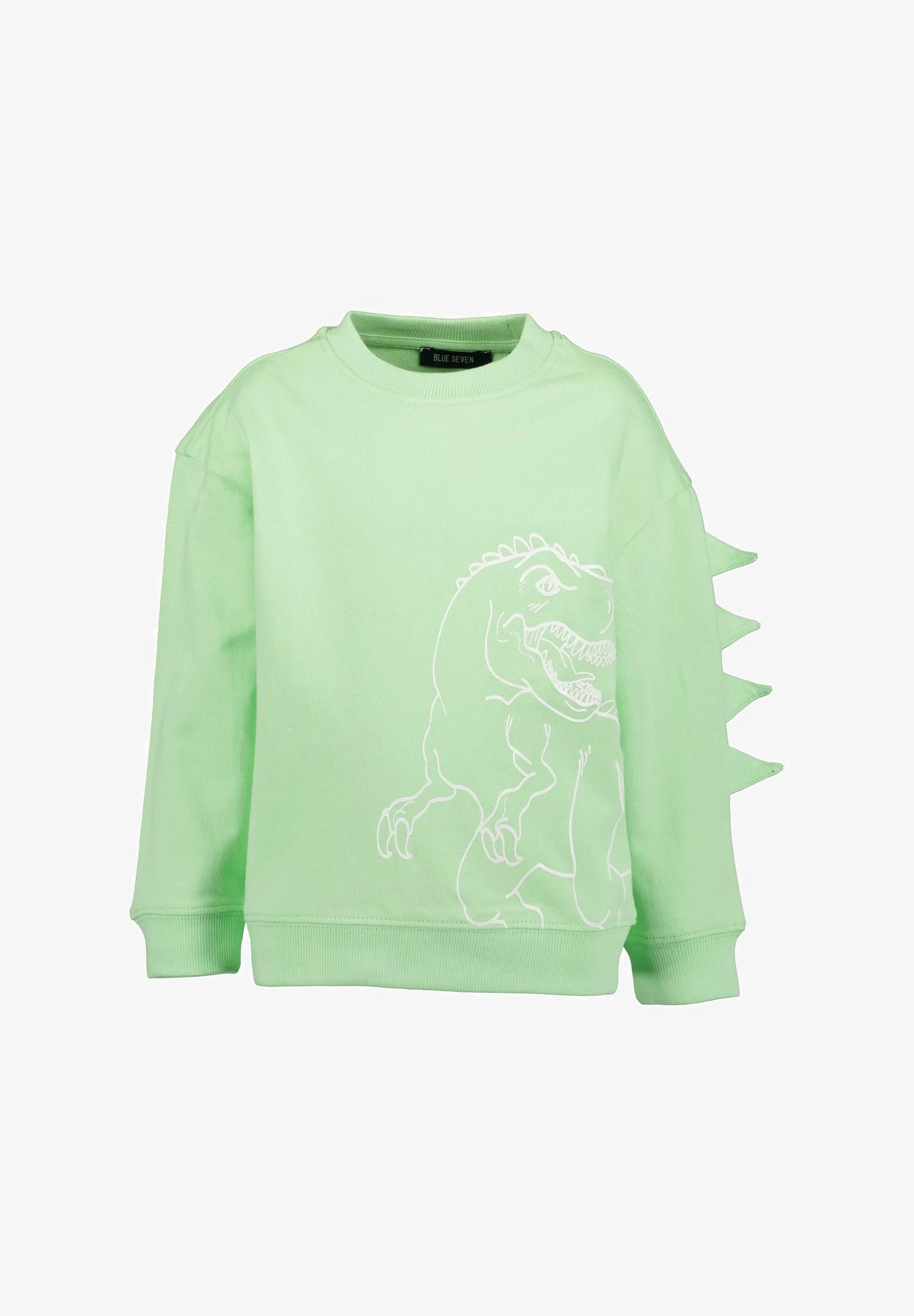 Blue Seven Boys' Long Sleeve Sweat Top 817649 Dinosaurs Print Light Green