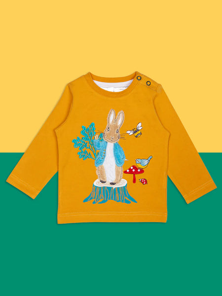 Blade & Rose Peter Rabbit Woodland Collection Socks