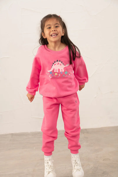 Little Lighthouse Girl's Flora Sweatshirt - Bright Pink Steggie Print