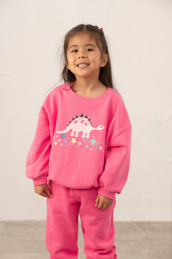 Little Lighthouse Girl's Flora Sweatshirt - Bright Pink Steggie Print