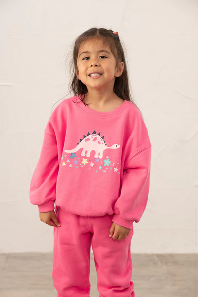 Little Lighthouse Girl's Flora Sweatshirt - Bright Pink Steggie Print