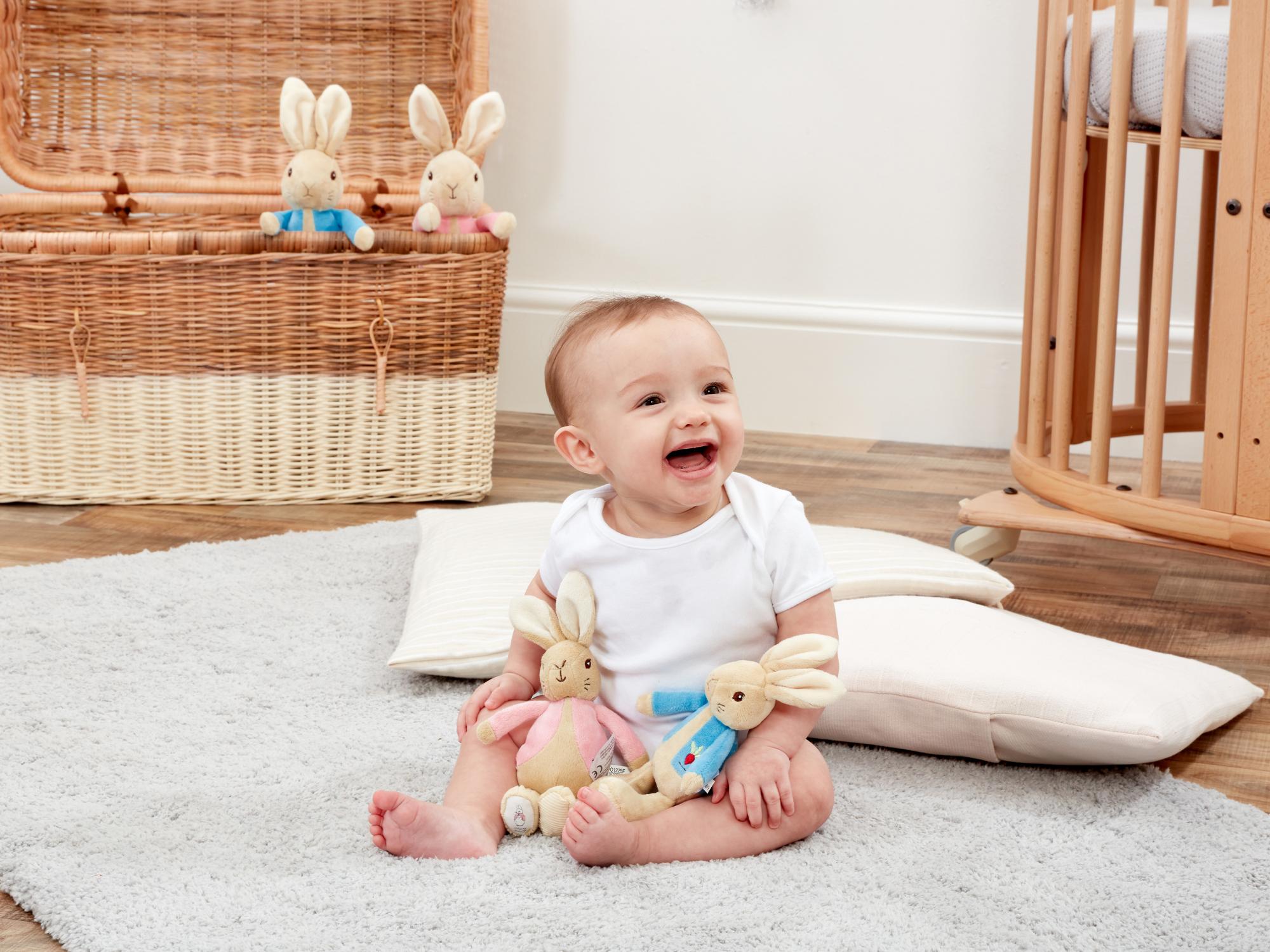 peter  rabbit rattles ireland