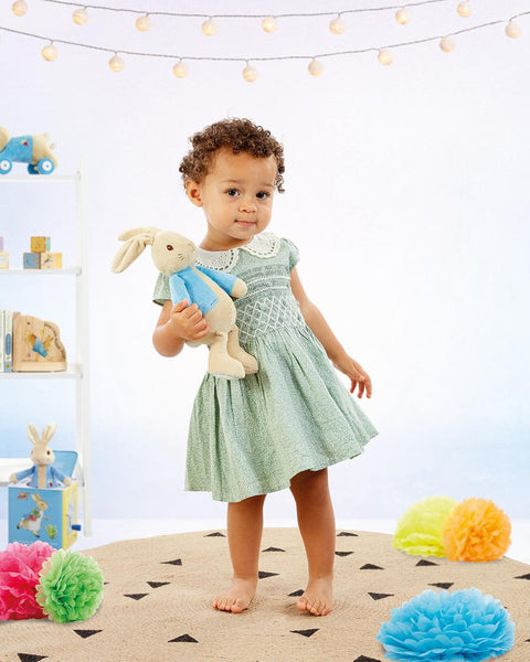 peter  rabbit soft  toys ireland