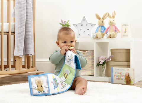 peter  rabbit   fabric  book