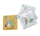 peter  rabbit ireland