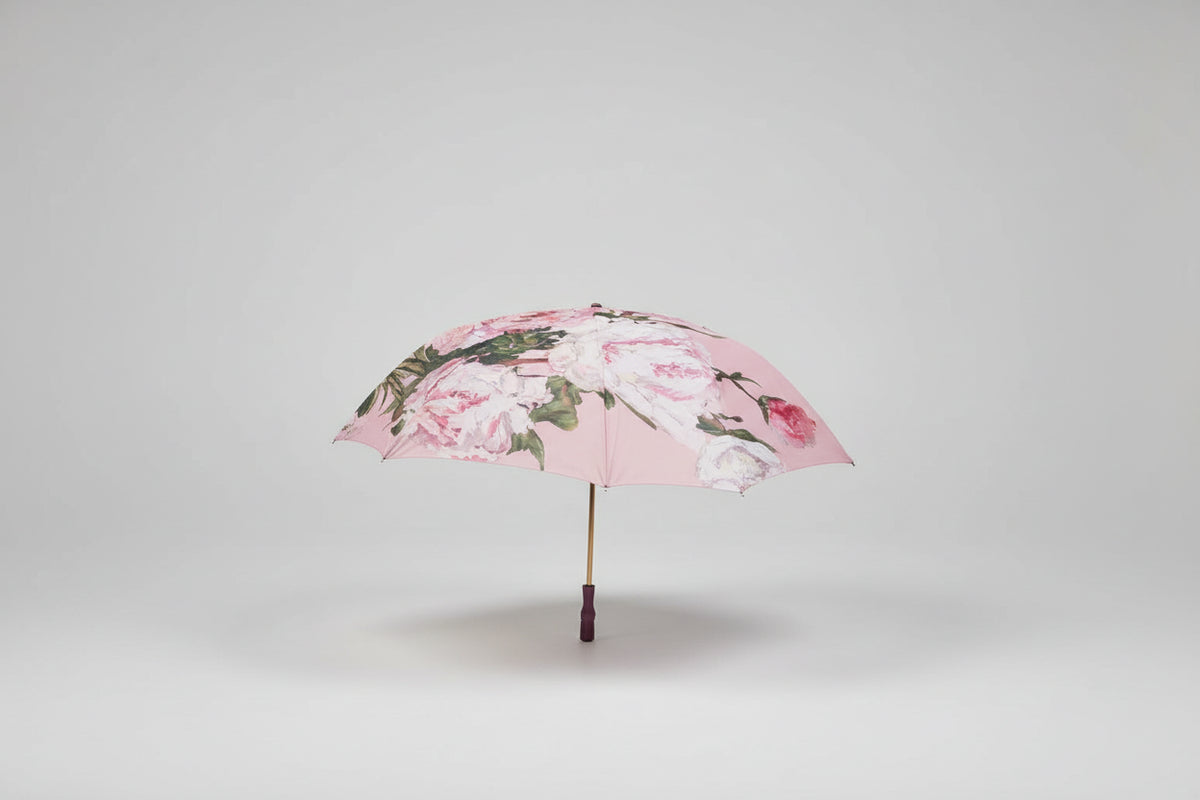 ladies umbrellas ireland