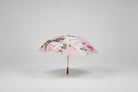ladies umbrellas ireland