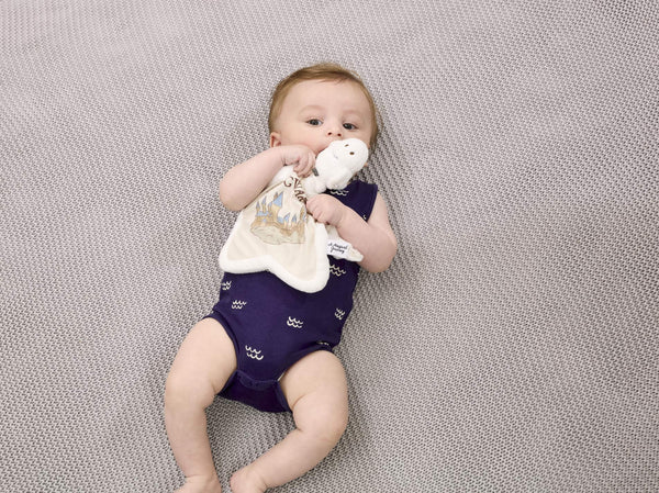 Rainbow Designs Harry Potter Hedwig Comfort Blanket WB2217