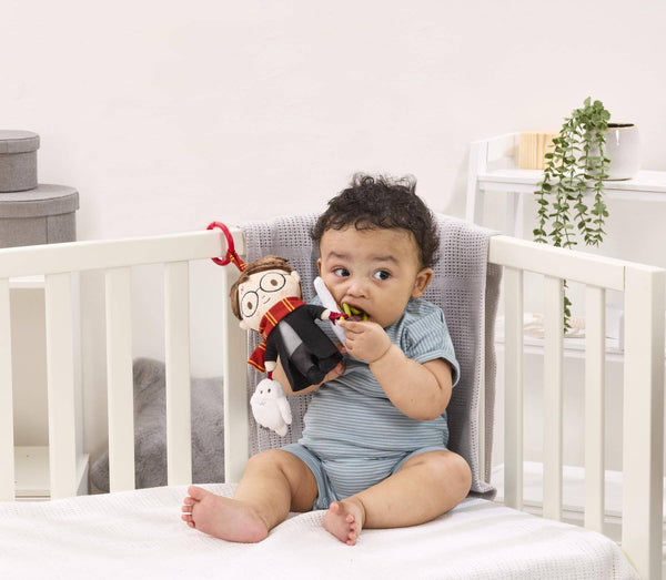 Rainbow Designs Harry Potter On the Go Activity Toy WB2222