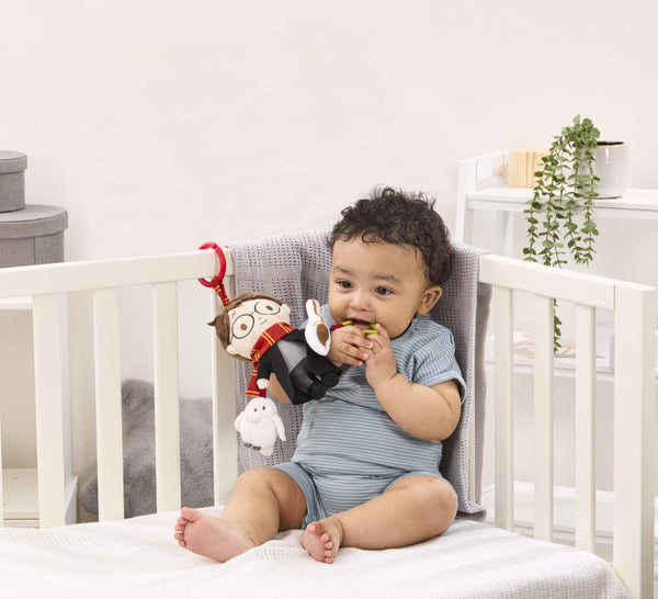 Rainbow Designs Harry Potter On the Go Activity Toy WB2222