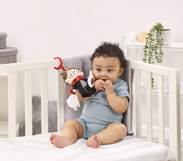 Rainbow Designs Harry Potter On the Go Activity Toy WB2222