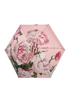 Ladies umbrellas ireland