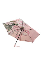 Ladies umbrellas ireland