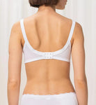 triumph stockists  ireland