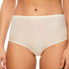 seamfree  ladies  briefs